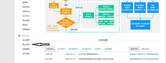 职业评测1